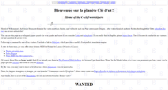 Desktop Screenshot of cledut.net